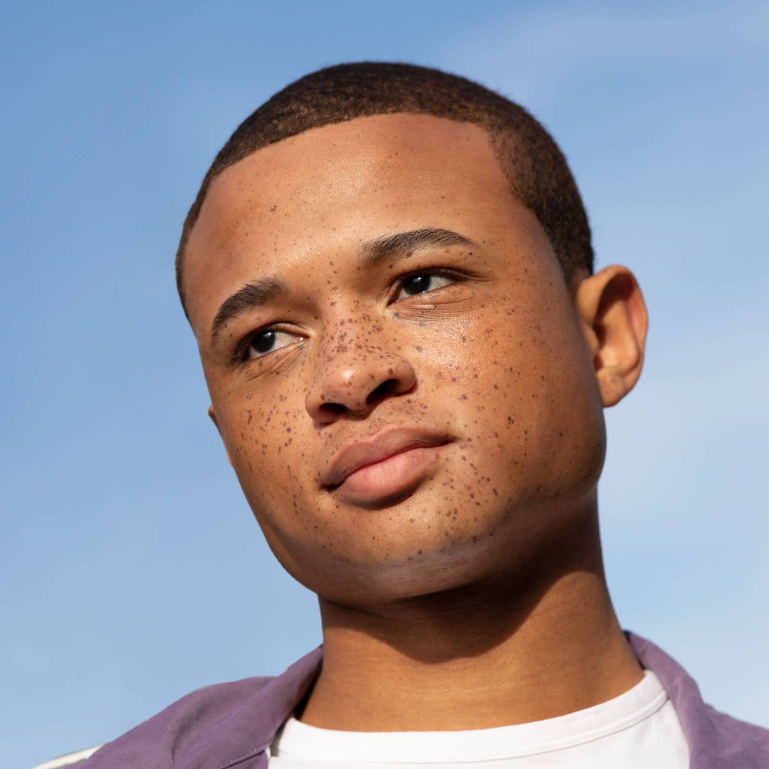 Best of Plenaire - the Deluxe Sampling set